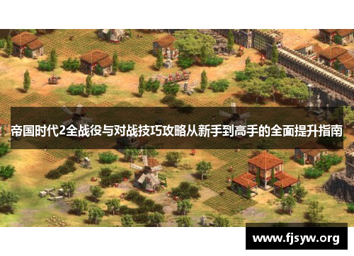 帝国时代2全战役与对战技巧攻略从新手到高手的全面提升指南