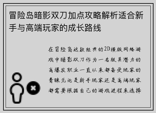 冒险岛暗影双刀加点攻略解析适合新手与高端玩家的成长路线